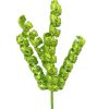 Liberty Floral St. Patrick'S Day | Fizzy Curly Pick, Green