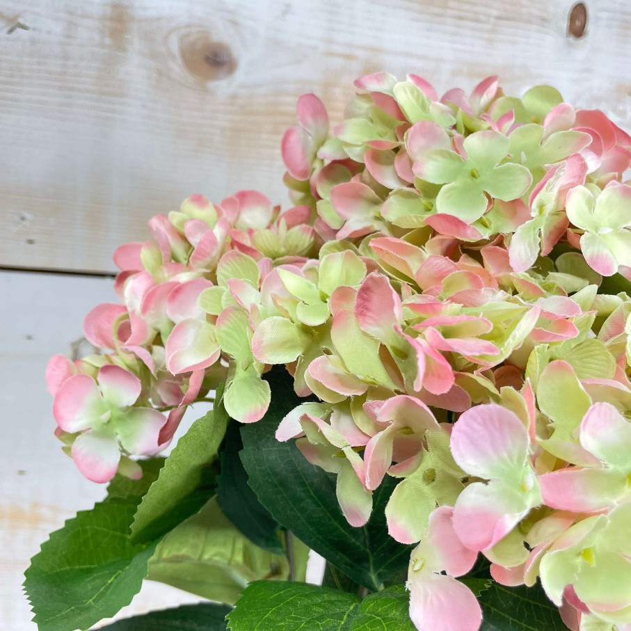 CRI Sprays | Blush And Green Hydrangea Bush