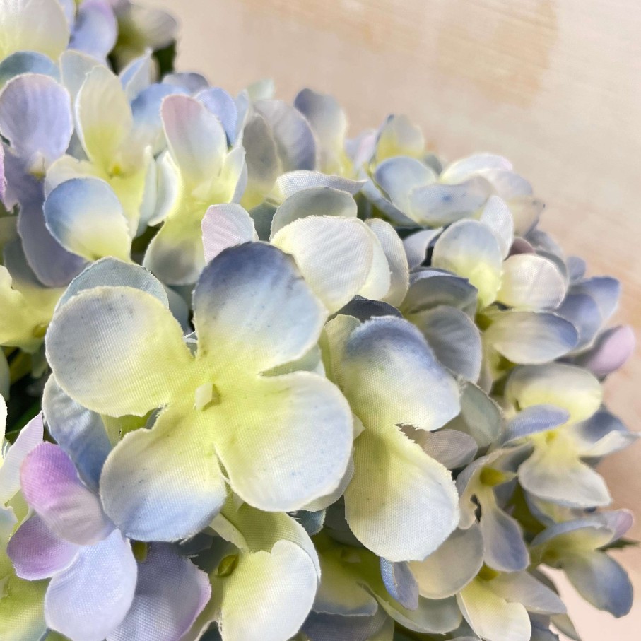 CRI Spring | Periwinkle Hydrangea Bush