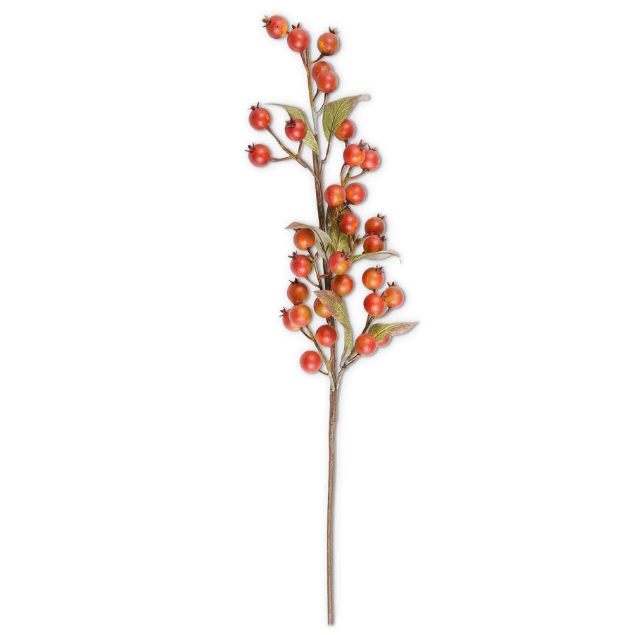 K&K Interiors Sprays | Orange Rosehip Stem