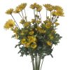 CRI Spring Sprays | Daisy Bundle