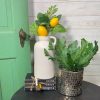 CRI Spring | Two Lemon Mix Spray