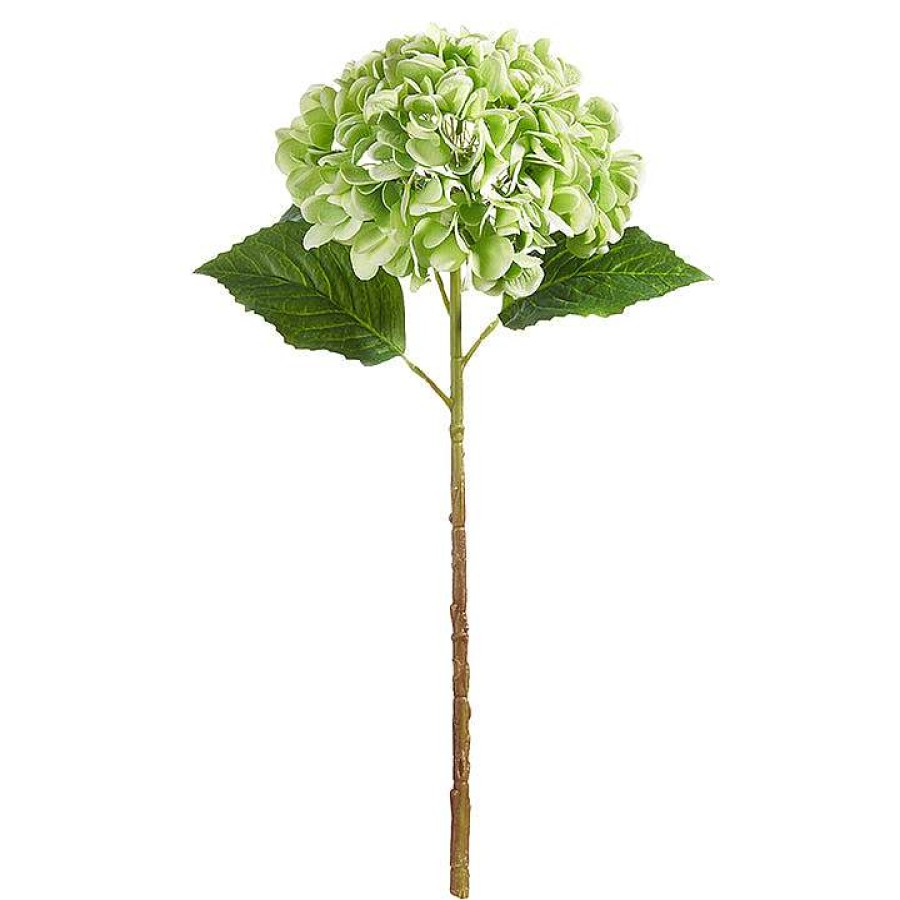 RAZ Spring | Real Touch Green Hydrangea Stem, 20.5"