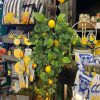 CRI Spring | Mixed Lemondrop 30"