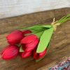 CRI Spring | Tulip Bundle, Red
