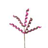 Liberty Floral Floral | Cheetah 2-Sided Frizzy Curly Pick