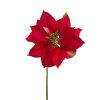 Direct Export Co. Stems | Natural Poinsettia Stem