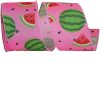 Reliant Ribbon Spring Ribbon | Watermelon And Seeds Linen Ribbon, 2.5" X 10Yd