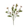 Liberty Floral Floral | Sweet Thistle Spray