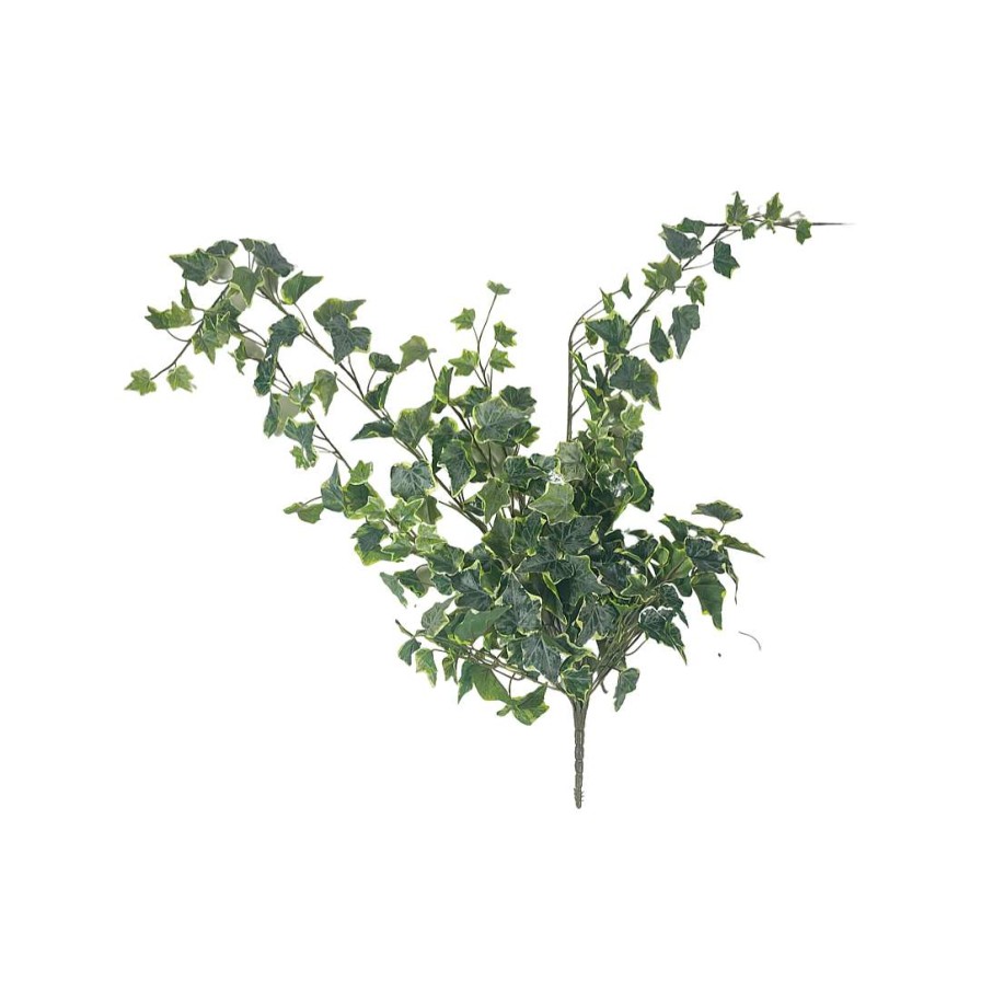 CRI Sprays | Large Variegated Ivy