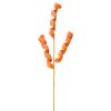 Liberty Floral Spring | Orange Curly Spray
