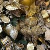 Creative Coop Picks | Champagne Tinsel Ball Pick