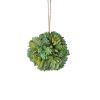 Regency Succulents | Small Gray And Green Succulent Orb