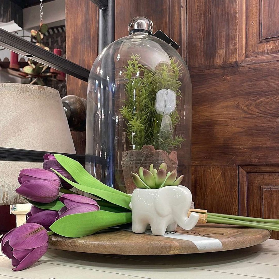 CRI Spring | Tulip Bundle, Purple
