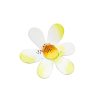 The Round Top Collection Spring | Daisy Magnet