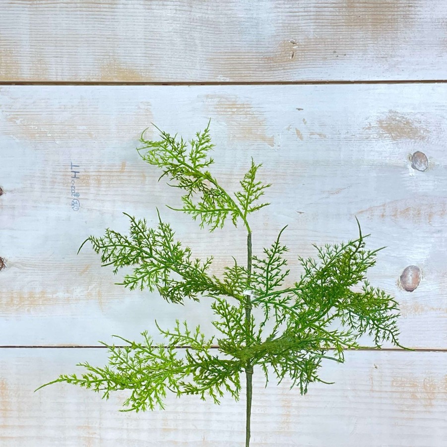 CRI Sprays | Asparagus Fern Spray