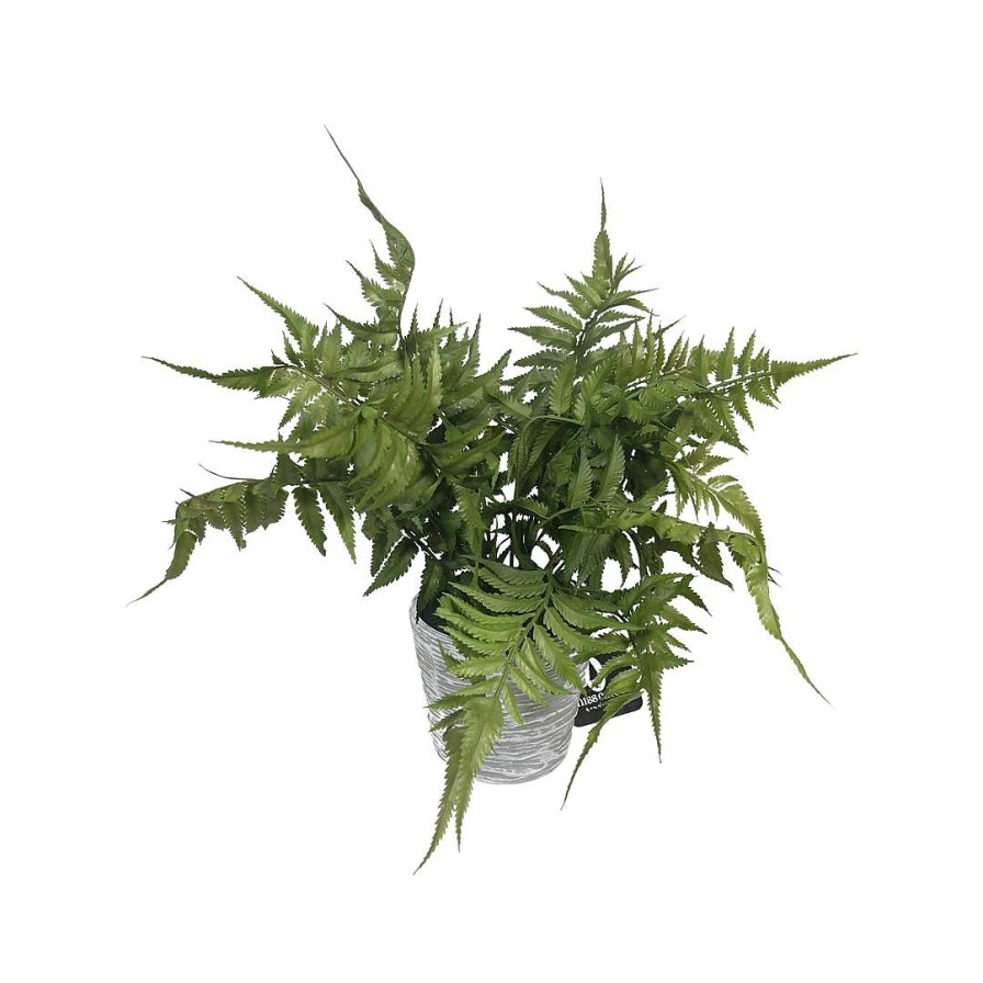 RAZ Focal Points | 17" Potted Fern
